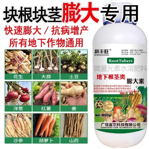 扶沟县膨大专用块根块茎，土豆红薯花生山药笋类葱头蒜头芋头生姜萝卜莲