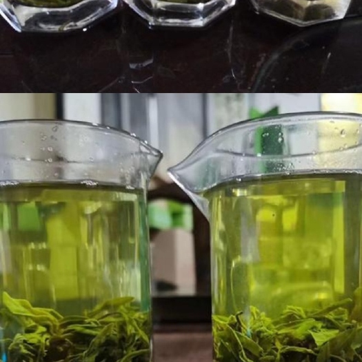 长沙县绿茶，毛尖，高中低档