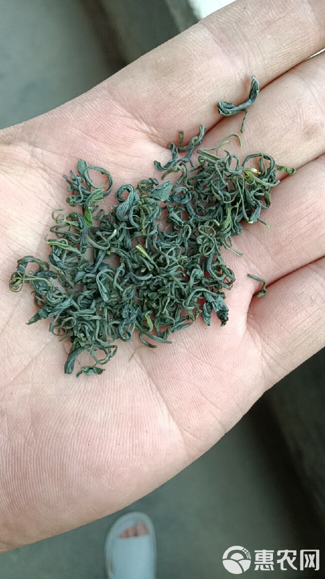 高山绿茶 （龙三）茶叶 包邮