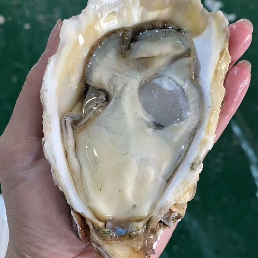 佛山大中小，小小有货，欢迎各位老板咨询合作感兴趣