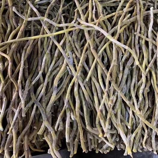 威宁县铁皮石斛