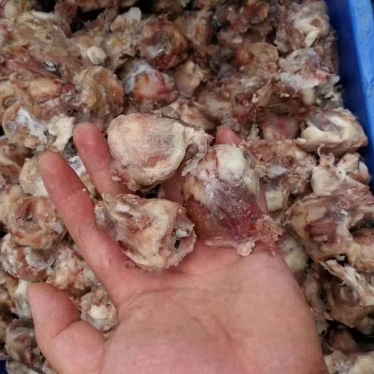 郑州羊眼，精修熟羊眼，纯干货适合烧烤用，现货，量大从优。