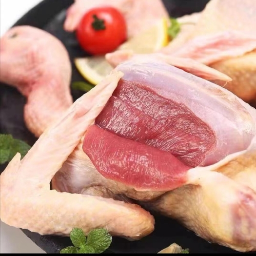 莘县乳鸽子白条新鲜冷冻
