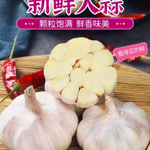 兰考县大蒜