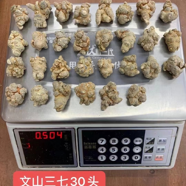 云南文山三七，一手货源  价格优势