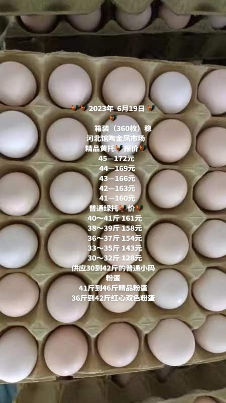 馆陶县大量供应30－41斤普通小码粉蛋，41－45斤精品大码粉蛋