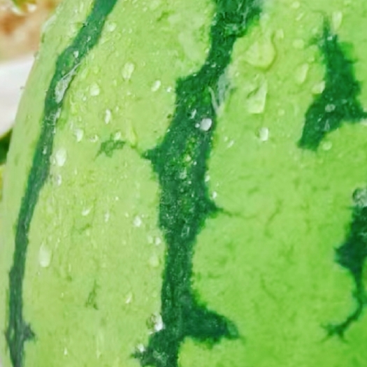 凯里市西瓜，冰糖麒麟瓜