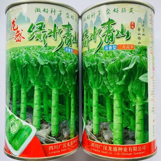 沭阳县绿水青山莴笋种子圆叶青皮青肉籽三青笋清香型莴笋秋冬季种