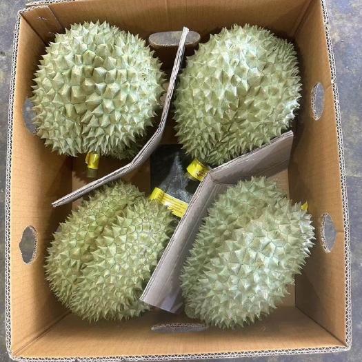 北京泰国空运榴莲