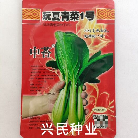 华容县玩夏青菜1号抗热青梗菜种子抗高温抗软腐病青翠油亮青菜籽四季播
