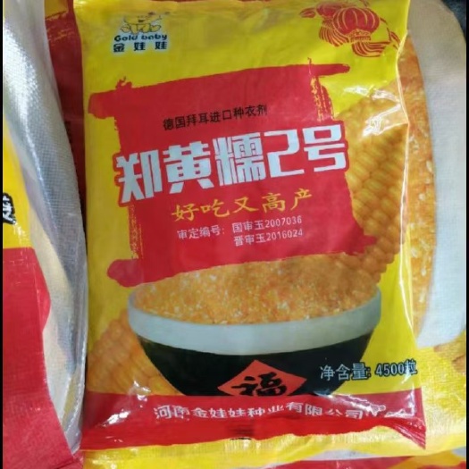 凌海市郑黄糯二号几百袋现货