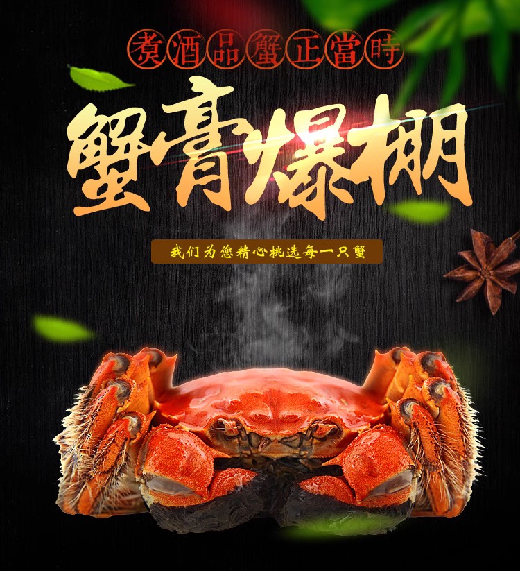 现货江苏大闸蟹满黄满肉 全国发货 产区一手货源 量大价优