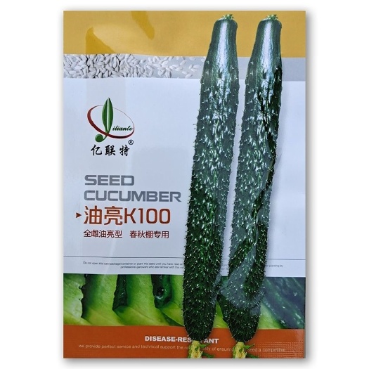 沭阳县油亮K100黄瓜种子绿瓤长黄瓜种籽春夏秋季耐热密刺大田早熟