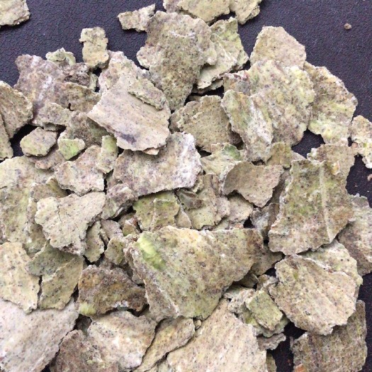漳浦县纯豆饼，有机质高，蛋白质高，恢份低，无渣