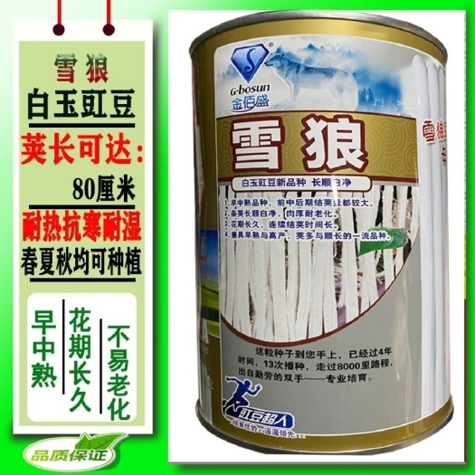 沭阳县雪狼特长白豆角种子早熟爬藤白玉豇豆种籽春秋基地大棚露天均可种