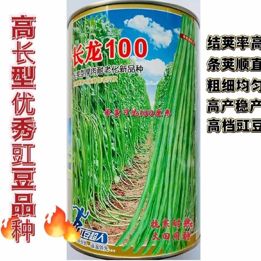 沭阳县长龙100豆角种籽搭架无架长豆角种子中早熟抗热耐寒春夏秋种植