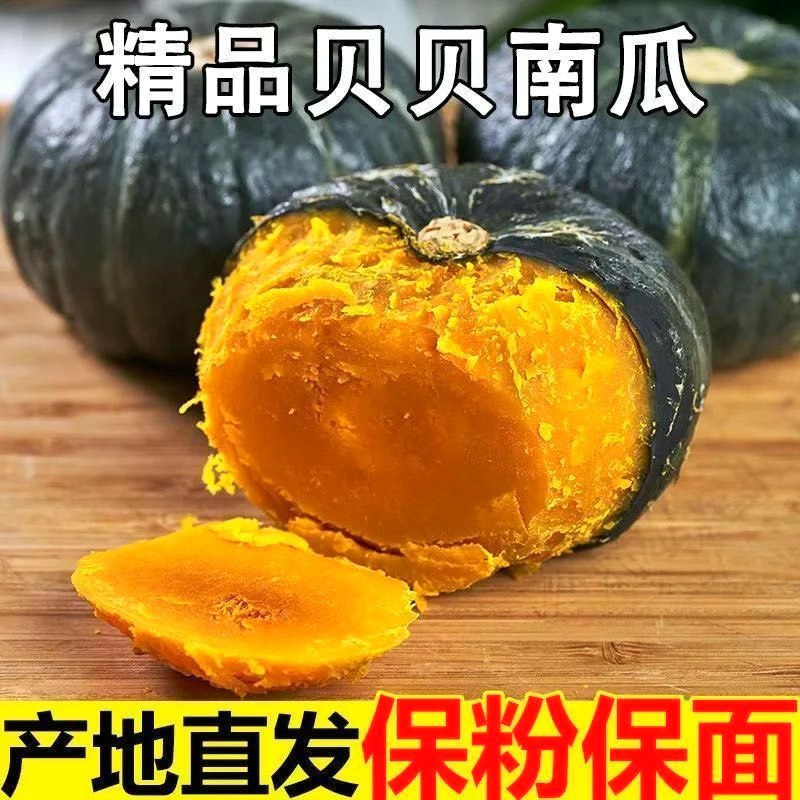 板栗味贝贝南瓜香甜干粉面糯糖化老南瓜宝宝辅食蔬菜小南瓜