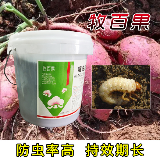 漯河噻虫胺微生物菌剂
