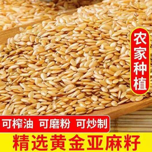 黄金亚麻籽 现货批发生 熟黄金亚麻籽榨油 磨粉原料袋装50斤
