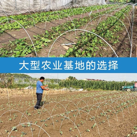 随州高弹性实心农用蔬菜保温小拱棚杆育苗支架玻璃纤维杆 玻璃钢拱杆