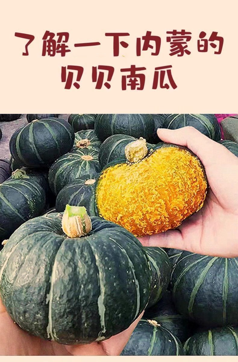 板栗味贝贝南瓜香甜干粉面糯糖化老南瓜宝宝辅食蔬菜小南瓜