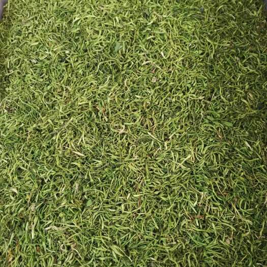 南宁野生特级金银花    产地直销