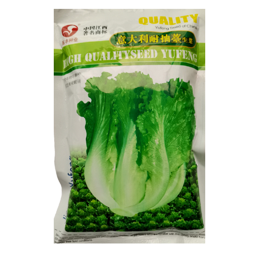 武汉意大利耐抽苔生菜种子耐热耐寒四季可种植生菜种子基地用种