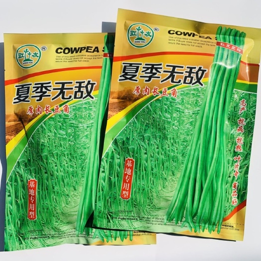 夏季无敌抗热长豆角种子 江西厚肉长豇豆角种籽基地专用豇豆种子