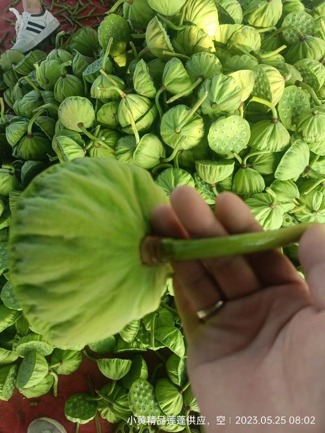 1.描述干果具体特点，口感好，果肉饱满，无漂白，纯绿色食品