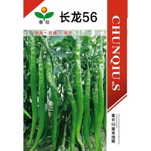沭阳县长龙56线椒种子特长线椒种籽早熟薄皮香辣辣椒种子蔬菜种子