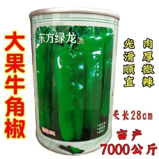 沭阳县东方绿龙早熟大果牛角椒种籽翠绿肉厚微辣可长28厘米亩产高