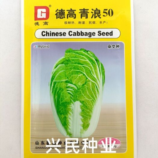 华容县德高青浪50早熟大白菜杂交种子耐热耐湿单球重1公斤抗病10克