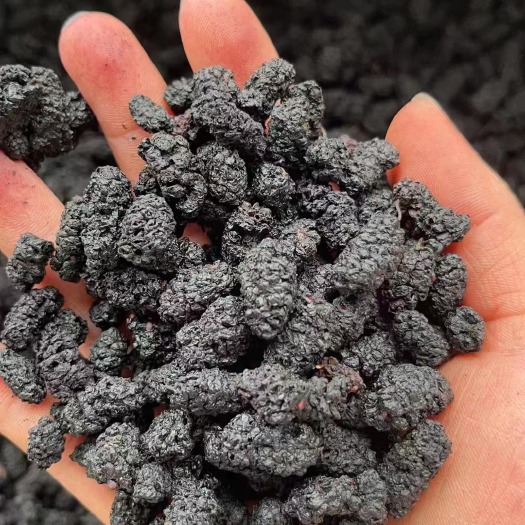 桑葚干批发 干黑桑葚散装无沙食用桑葚干量大价优承接大货桑葚子