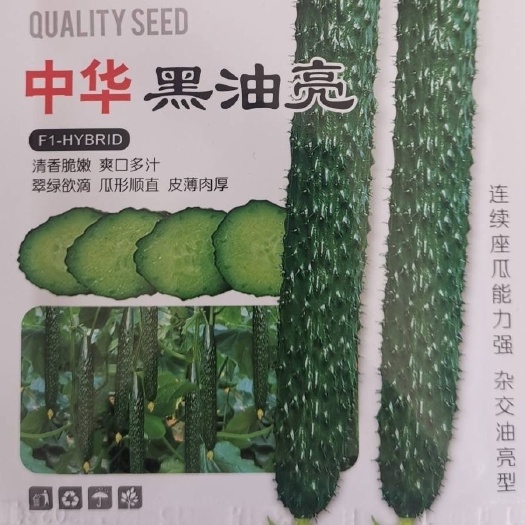 中华黑油亮黄瓜种子绿瓤长黄瓜种籽春夏秋季耐热密刺大田早熟