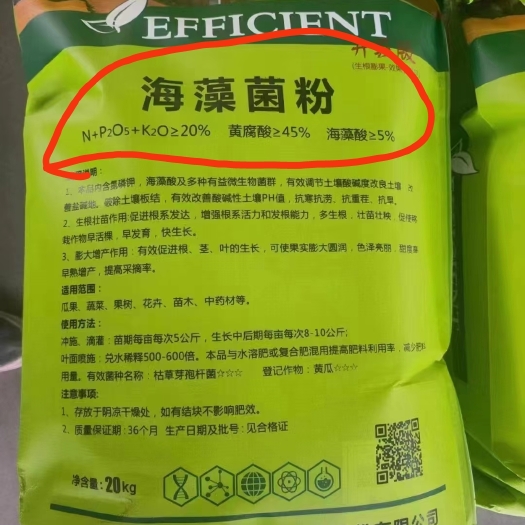青州市海藻菌粉