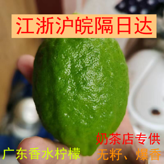 广州大批量客户采购专用，保证果品，香味浓郁，果型饱满。
