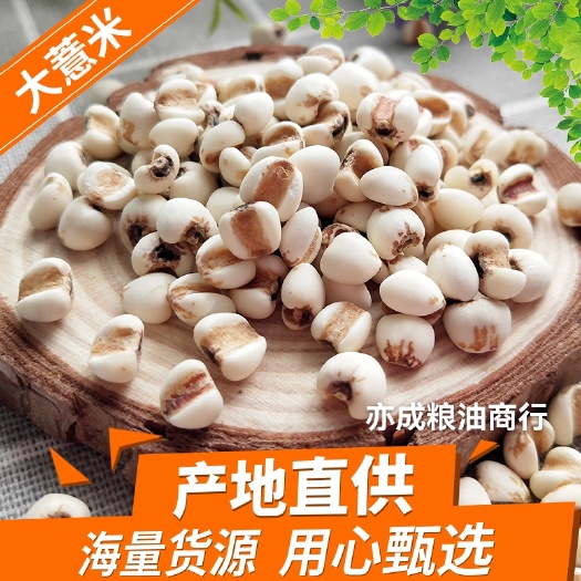 临沂大薏仁批发 云南大颗粒白薏米 生苡仁25kg