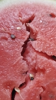 美都