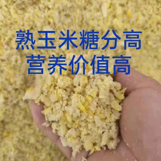 石家庄发酵玉米饲料