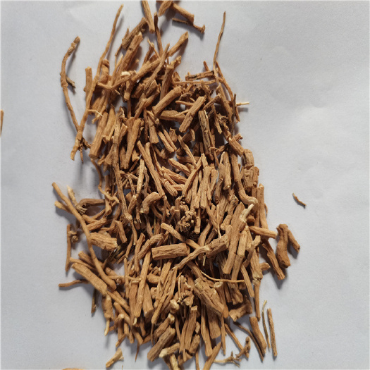 供应中药林远志各种规格批发远志统货