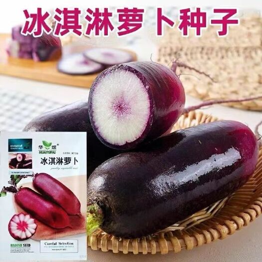 甜脆冰淇淋萝卜种子超甜紫皮紫肉红心农田菜园基地水果萝卜种子