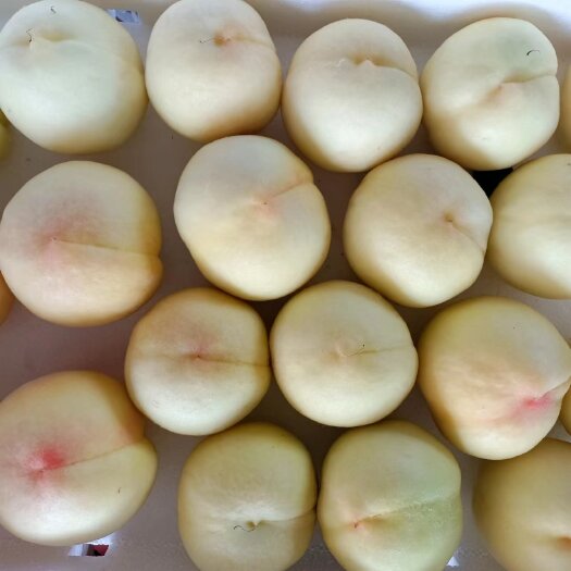 新沂市水蜜桃