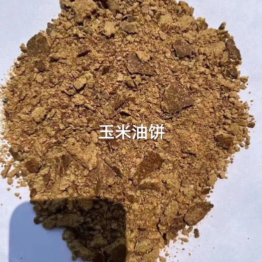 石家庄玉米油饼，