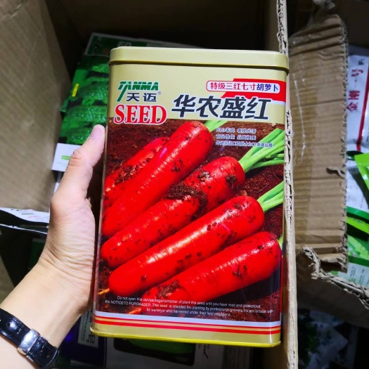 西安胡萝卜种子三红七寸参八寸参桔红色农家庭院均可种植