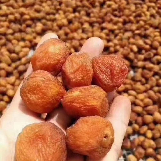 乌鲁木齐新疆吊干杏