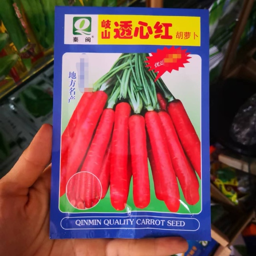 西安汉中透心红胡萝卜种上下基本一致皮色鲜红芯柱细呈橘黄色