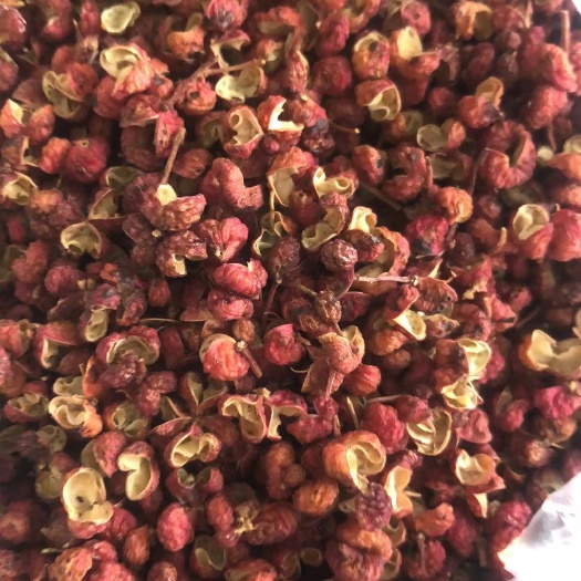 成都花椒  甘肃  华州  陕西等货都有等级不同价格也不同