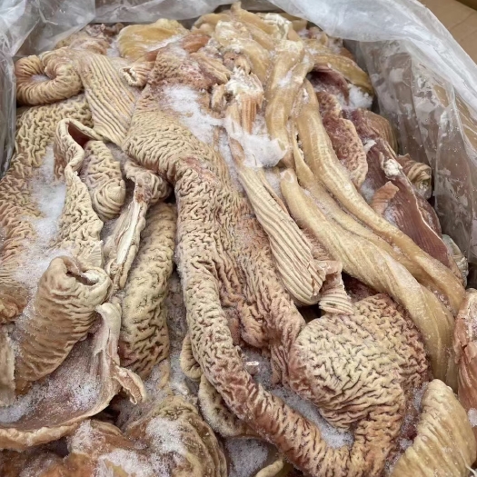 阳信县牛大肠，小肠，圆肠半成品，长期供应，质量稳定，干净，出成高。