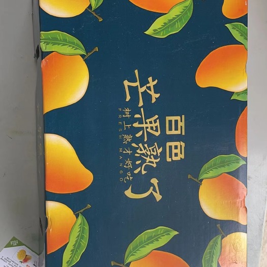 百色广西百色一级金煌芒大果10斤礼盒