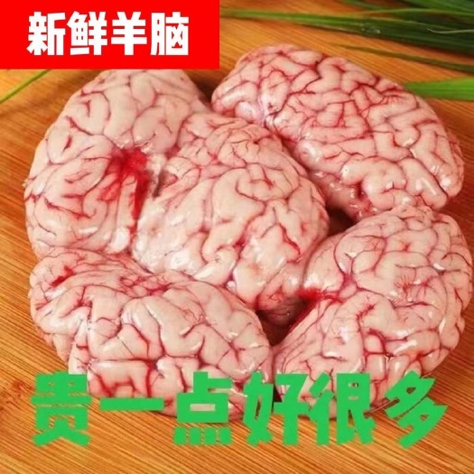 滨州羊脑子新鲜真活羊现杀羊脑火锅食材滋补冷冻山羊脑包邮
